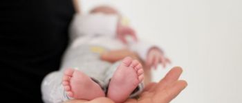 Especialista cruzó a Milei y desmintió que el aborto cause la baja de natalidad